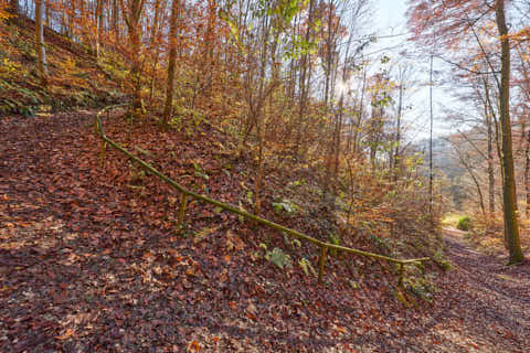 Gemeinde Julbach Landkreis Rottal-Inn Schlossberg Herbst (Dirschl Johann) Deutschland PAN